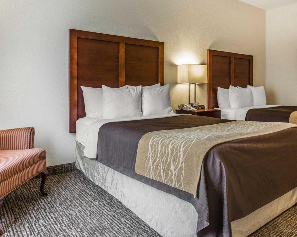 Comfort Inn & Suites Camden Bagian luar foto