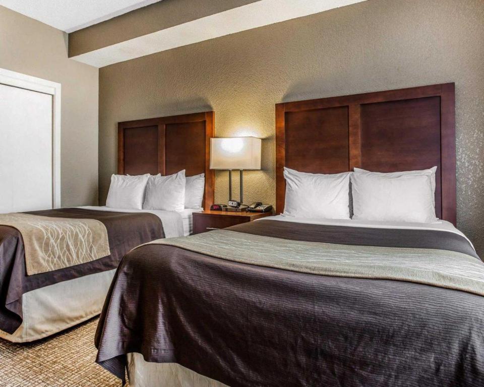 Comfort Inn & Suites Camden Bagian luar foto